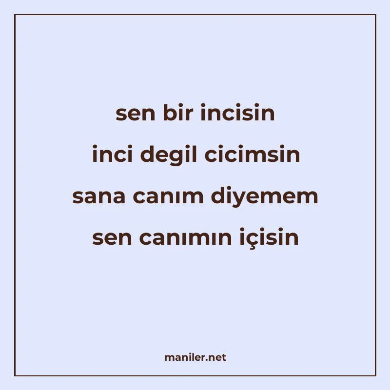 sen bir incisin inci degil cicimsin sana canım diyemem sen c manisi görseli