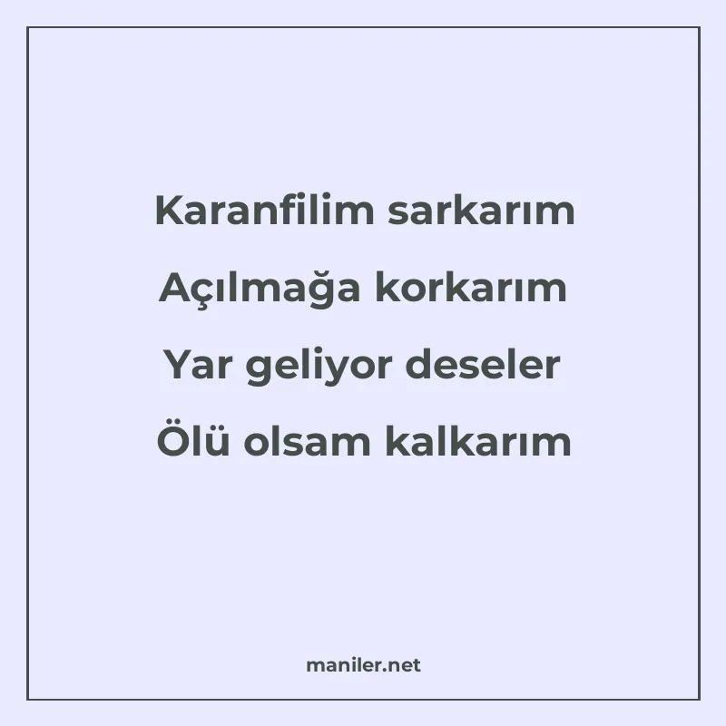 Karanfilim sarkarım Açılmağa korkarım Yar geliyor deseler Öl manisi görseli