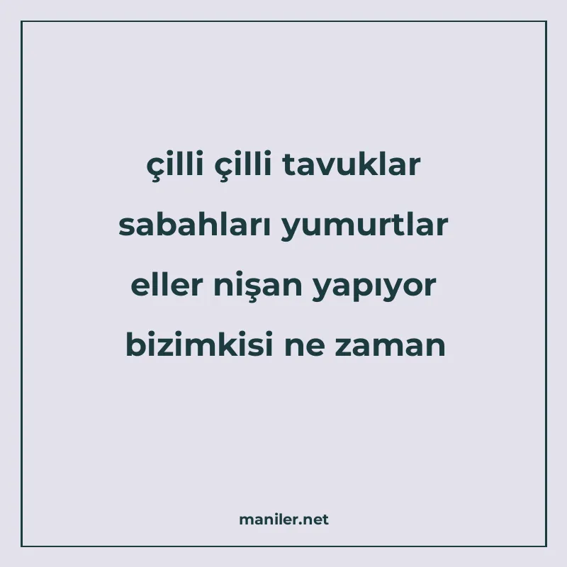 çilli çilli tavuklar sabahları yumurtlar eller nişan yapıyor manisi görseli