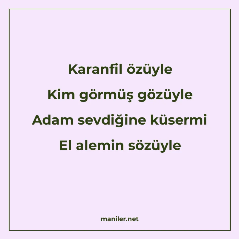 Karanfil özüyle Kim görmüş gözüyle Adam sevdiğine küsermi El manisi görseli