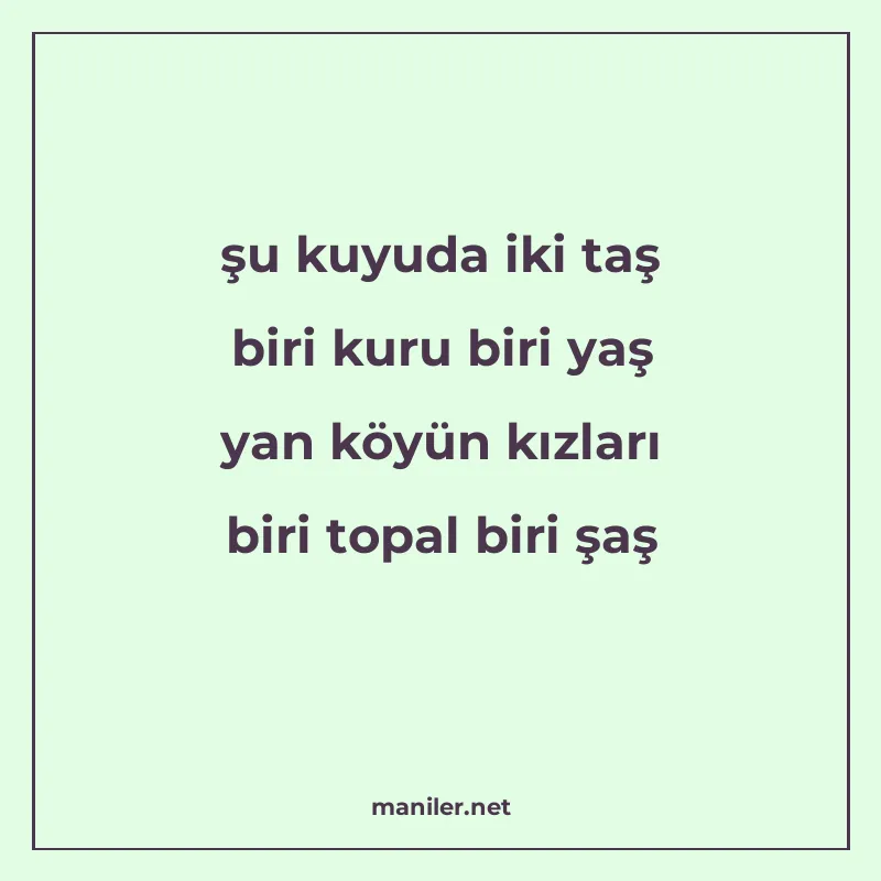 şu kuyuda iki taş biri kuru biri yaş yan köyün kızları biri manisi görseli