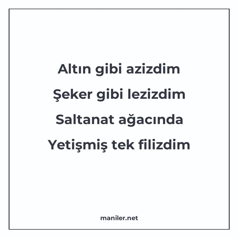 Altın gibi azizdim Şeker gibi lezizdim Saltanat ağacında Yet manisi görseli