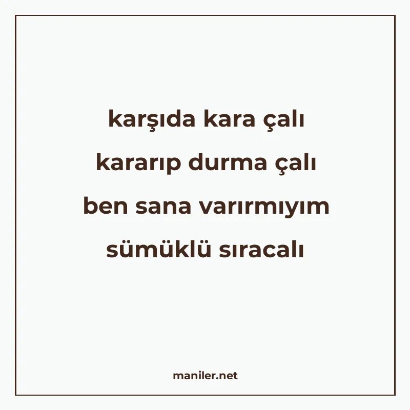 karşıda kara çalı kararıp durma çalı ben sana varırmıyım süm manisi görseli