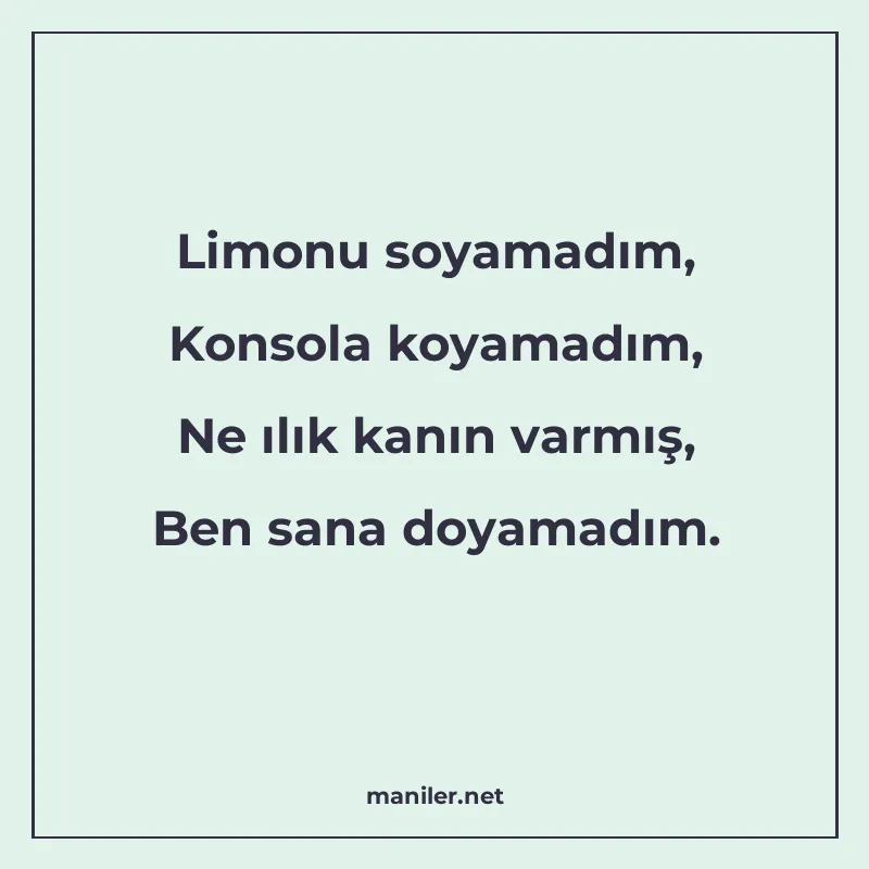 Limonu soyamadım, Konsola koyamadım, Ne ılık kanın varmış, B manisi görseli