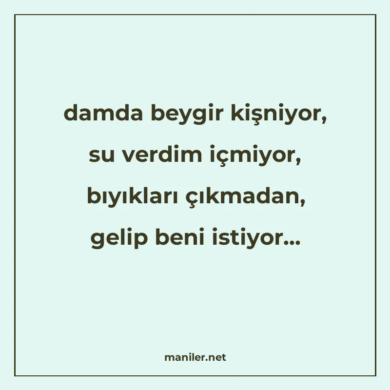 damda beygir kişniyor, su verdim içmiyor, bıyıkları çıkmadan manisi görseli