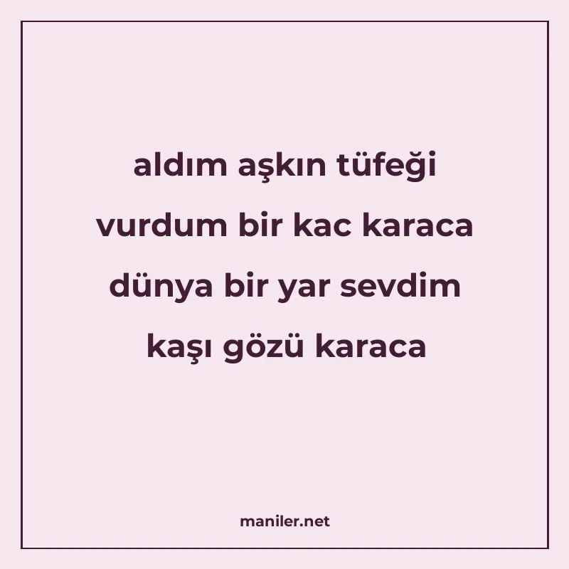 aldım aşkın tüfeği vurdum bir kac karaca dünya bir yar sevdi manisi görseli