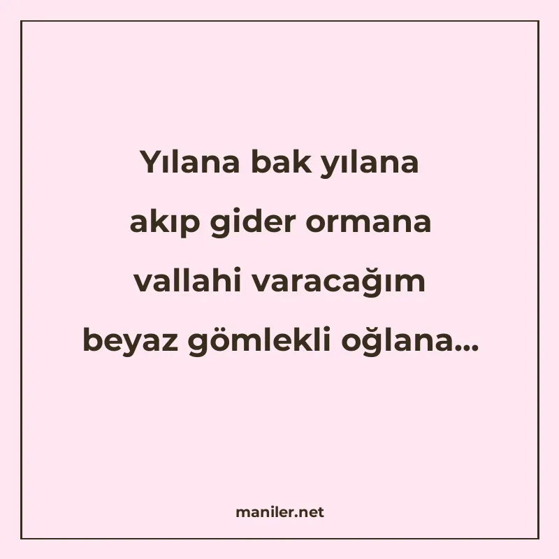 Yılana bak yılana akıp gider ormana vallahi varacağım beyaz manisi görseli
