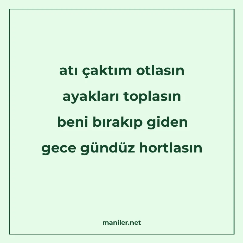 atı çaktım otlasın ayakları toplasın beni bırakıp giden gece manisi görseli