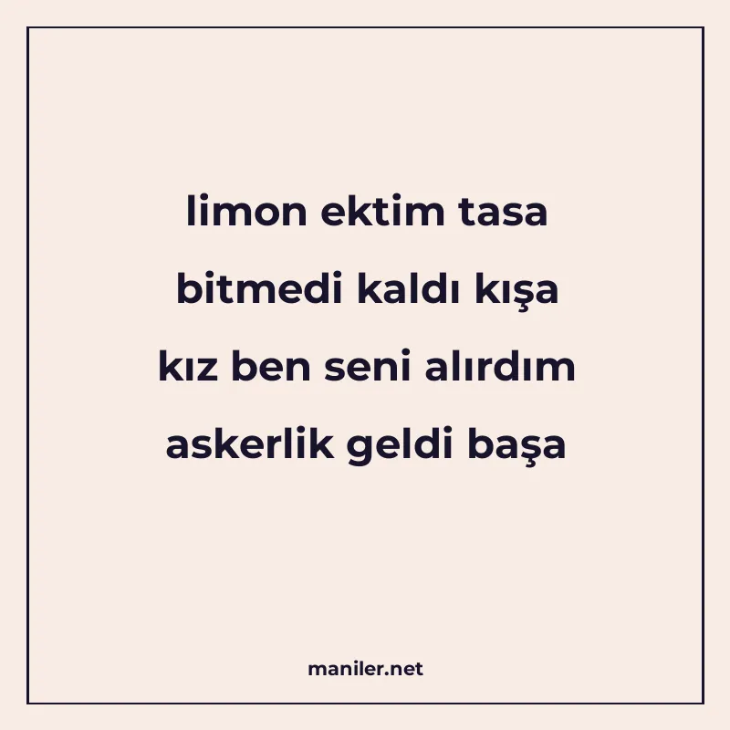 limon ektim tasa bitmedi kaldı kışa kız ben seni alırdım ask manisi görseli
