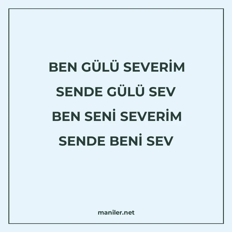 BEN GÜLÜ SEVERİM SENDE GÜLÜ SEV BEN SENİ SEVERİM SENDE BENİ manisi görseli