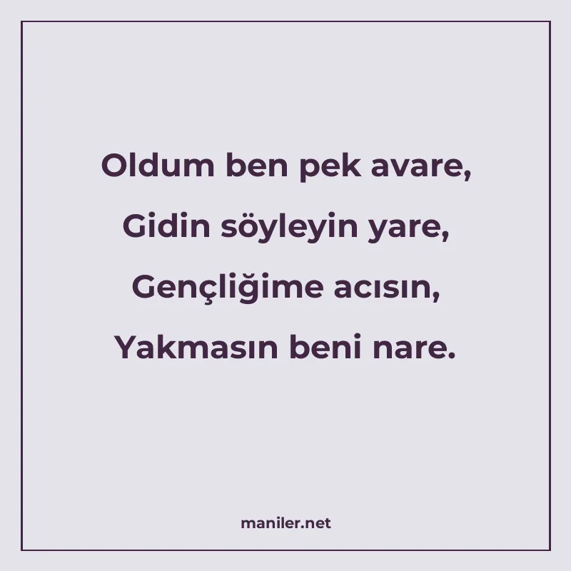 Oldum ben pek avare, Gidin söyleyin yare, Gençliğime acısın manisi görseli