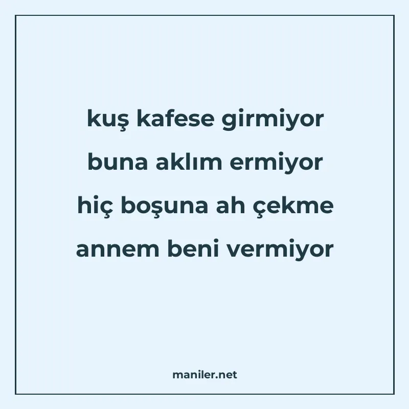 kuş kafese girmiyor buna aklım ermiyor hiç boşuna ah çekme a manisi görseli