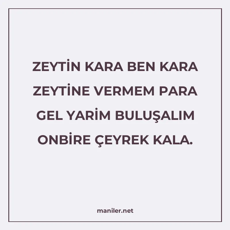 ZEYTİN KARA BEN KARA ZEYTİNE VERMEM PARA GEL YARİM BULUŞALIM manisi görseli