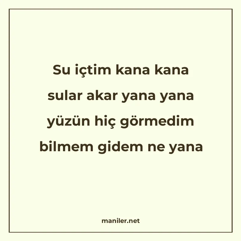 Su içtim kana kana sular akar yana yana yüzün hiç görmedim b manisi görseli
