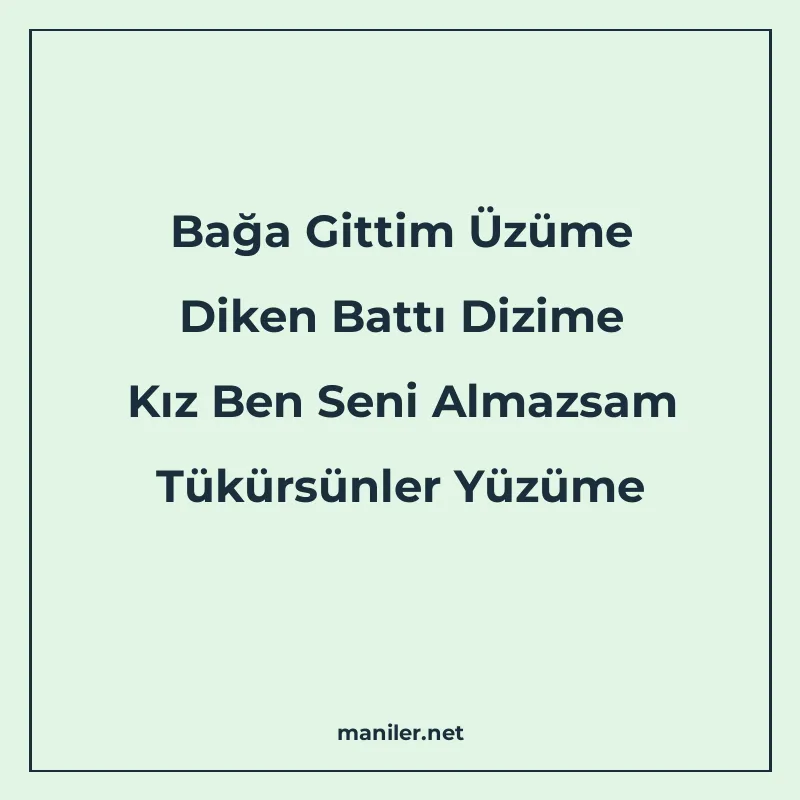 Bağa Gittim Üzüme Diken Battı Dizime Kız Ben Seni Almazsam T manisi görseli