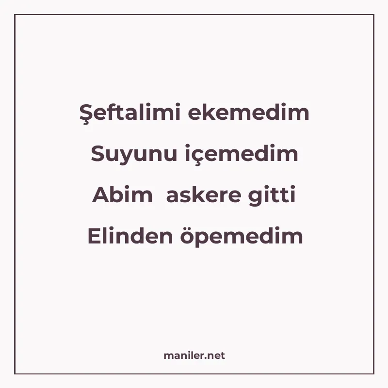 Şeftalimi ekemedim Suyunu içemedim Abim askere gitti Elinden manisi görseli