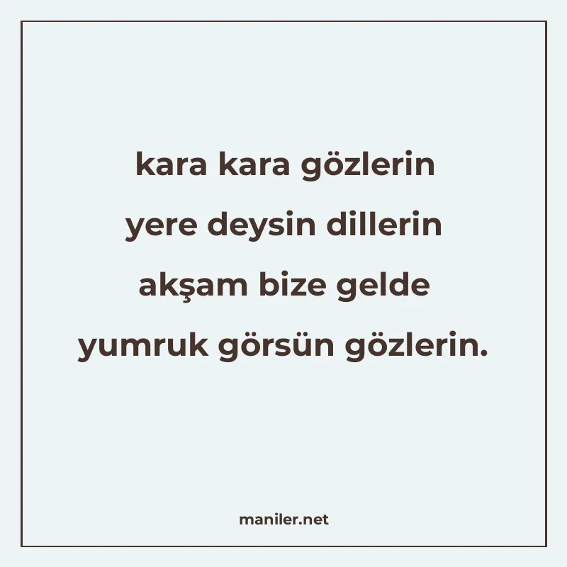 kara kara gözlerin yere deysin dillerin akşam bize gelde yum manisi görseli