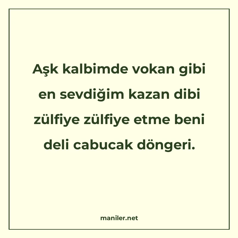Aşk kalbimde vokan gibi en sevdiğim kazan dibi zülfiye zülfi manisi görseli