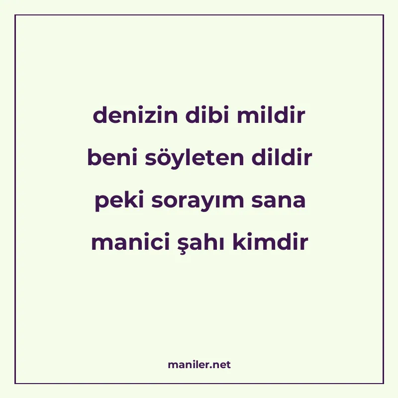 denizin dibi mildir beni söyleten dildir peki sorayım sana m manisi görseli