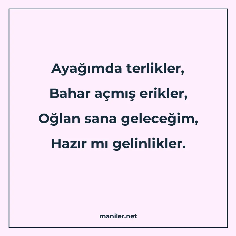 Ayağımda terlikler, Bahar açmış erikler, Oğlan sana geleceği manisi görseli