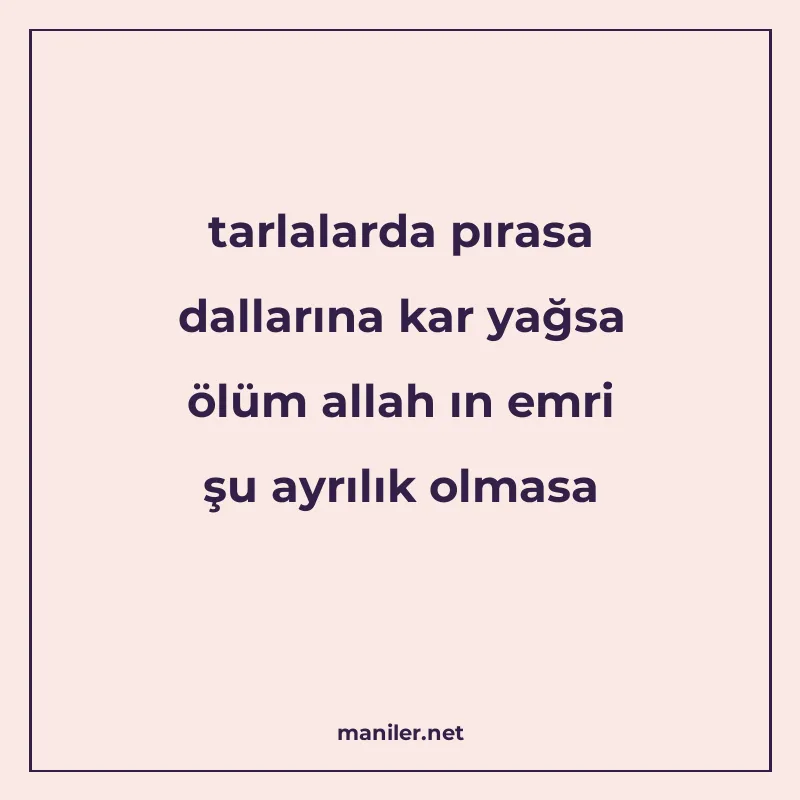 tarlalarda pırasa dallarına kar yağsa ölüm allah ın emri şu manisi görseli
