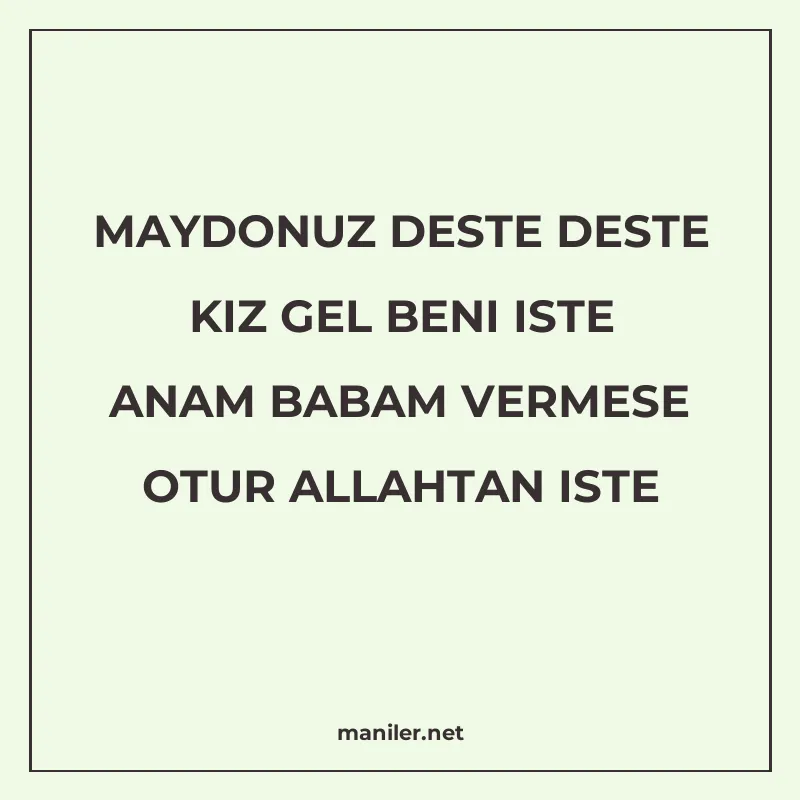 MAYDONUZ DESTE DESTE KIZ GEL BENI ISTE ANAM BABAM VERMESE OT manisi görseli