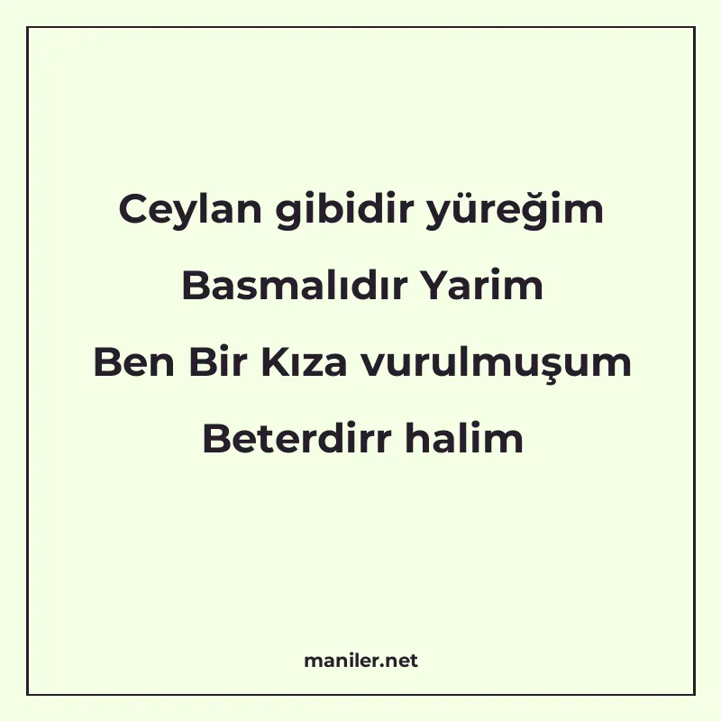 Ceylan gibidir yüreğim Basmalıdır Yarim Ben Bir Kıza vurulmu manisi görseli