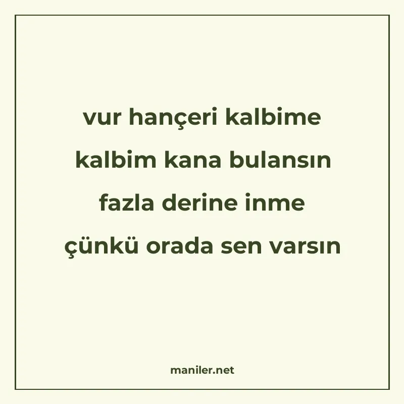 vur hançeri kalbime kalbim kana bulansın fazla derine inme ç manisi görseli