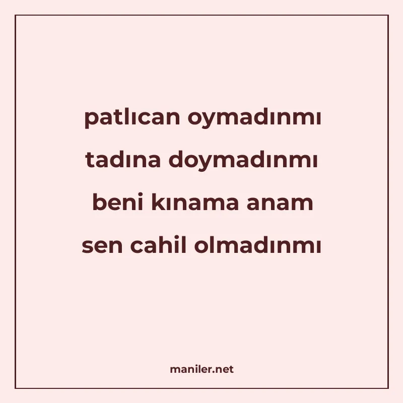 patlıcan oymadınmı tadına doymadınmı beni kınama anam sen ca manisi görseli