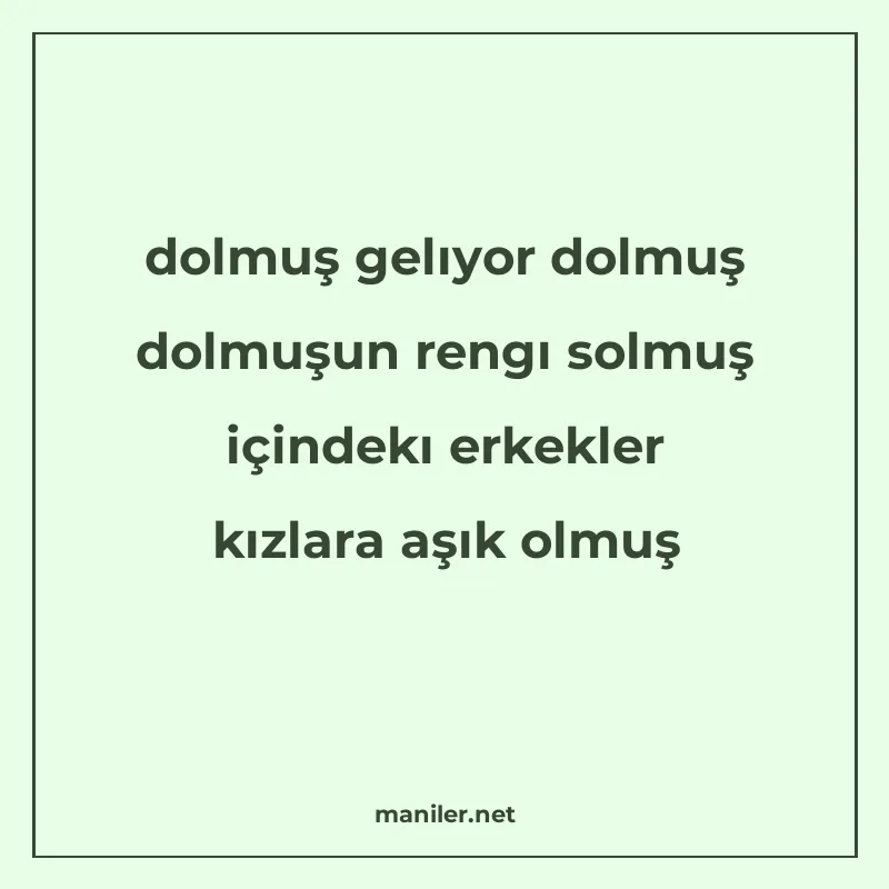 dolmuş gelıyor dolmuş dolmuşun rengı solmuş içindekı erkekle manisi görseli