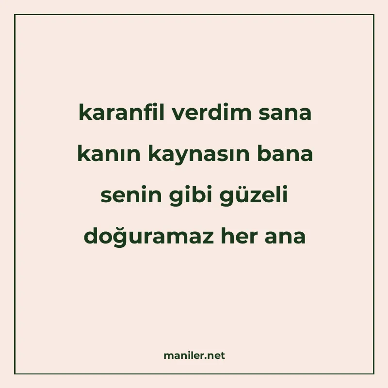 karanfil verdim sana kanın kaynasın bana senin gibi güzeli d manisi görseli