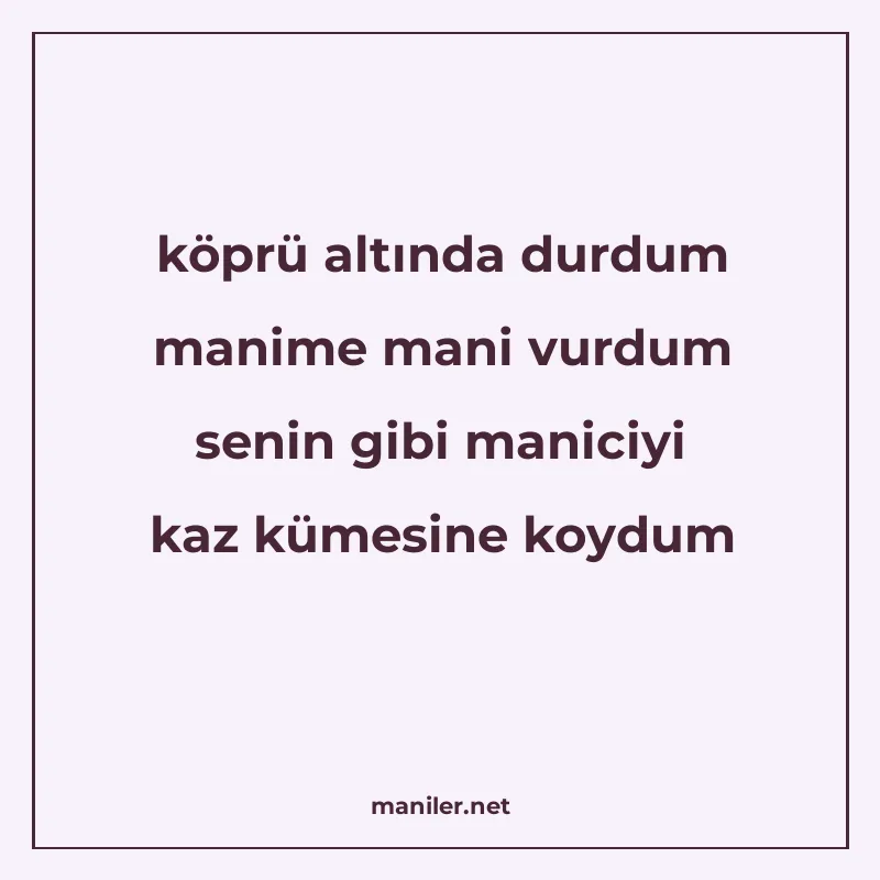 köprü altında durdum manime mani vurdum senin gibi maniciyi manisi görseli