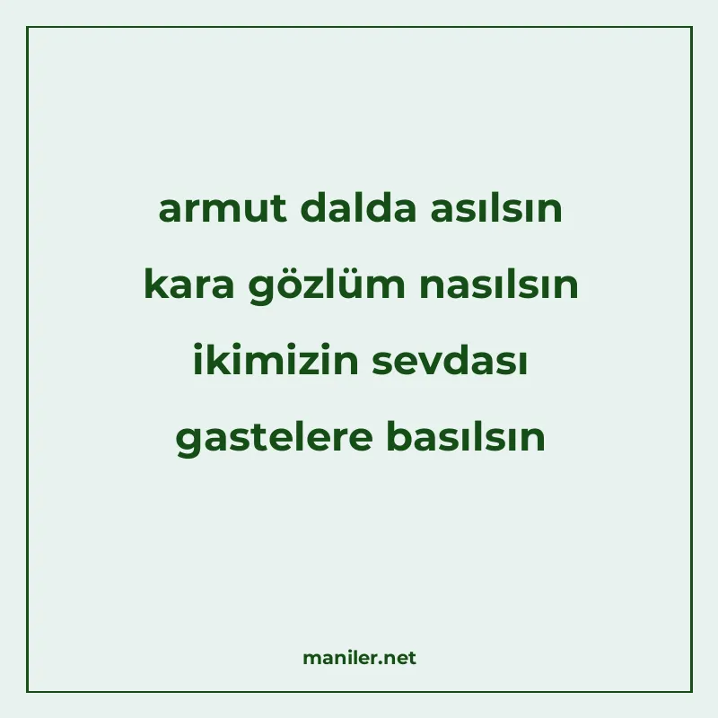 armut dalda asılsın kara gözlüm nasılsın ikimizin sevdası ga manisi görseli