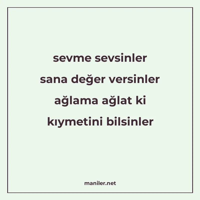 sevme sevsinler sana değer versinler ağlama ağlat ki kıymeti manisi görseli