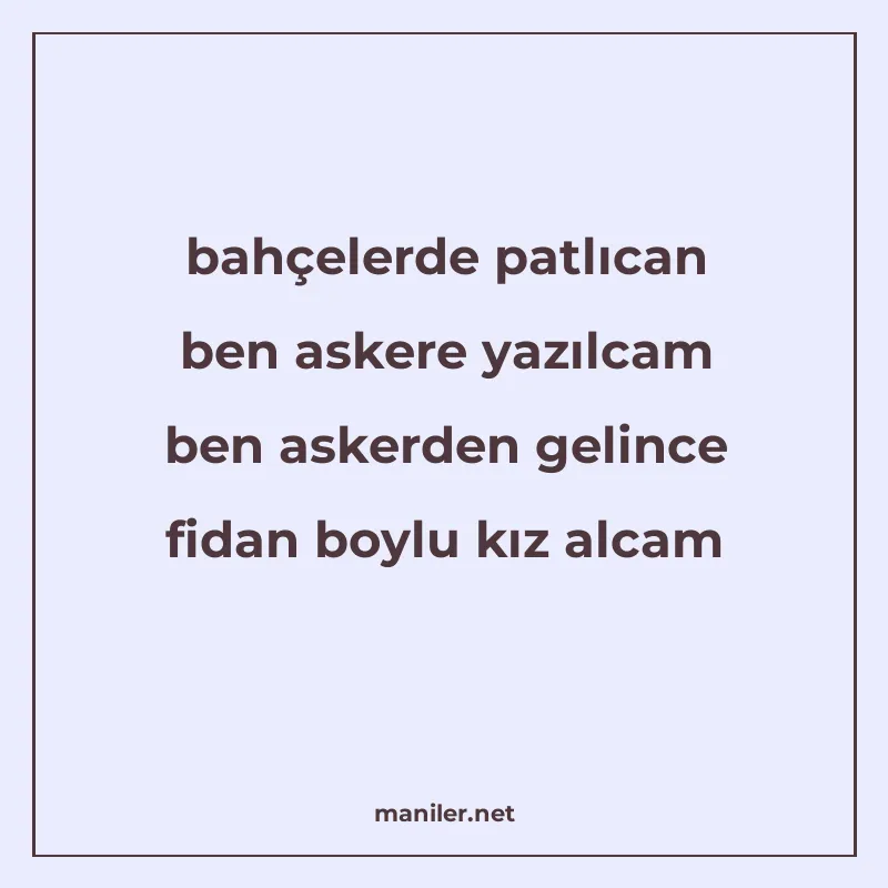 bahçelerde patlıcan ben askere yazılcam ben askerden gelince manisi görseli