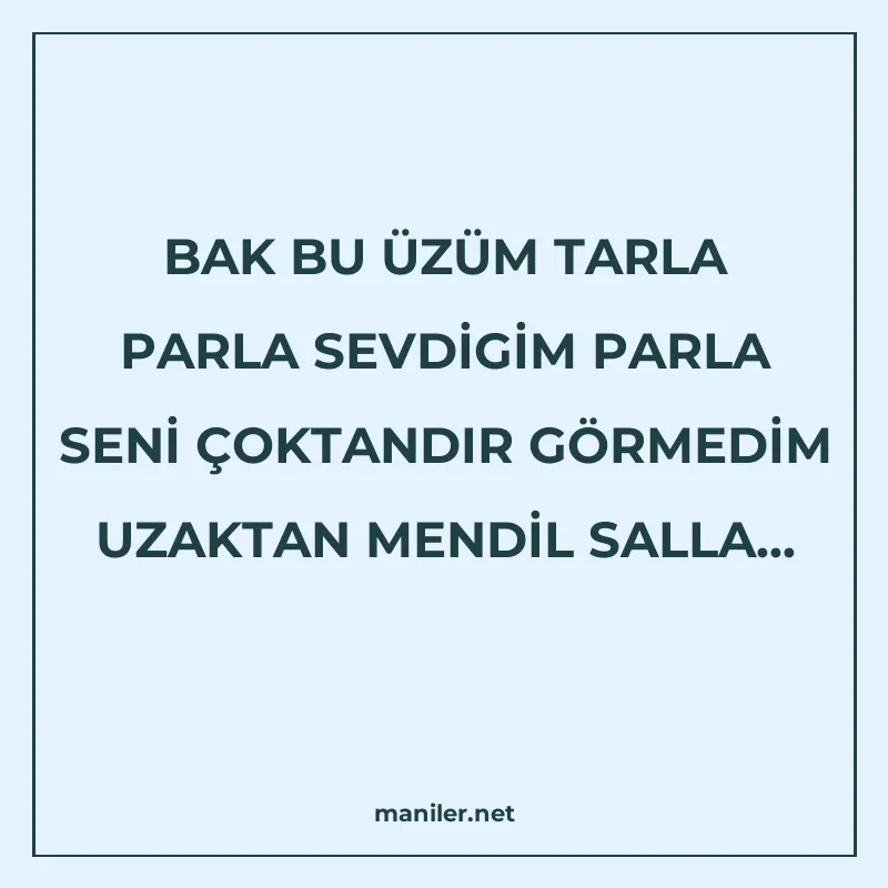 BAK BU ÜZÜM TARLA PARLA SEVDİGİM PARLA SENİ ÇOKTANDIR GÖRMED manisi görseli