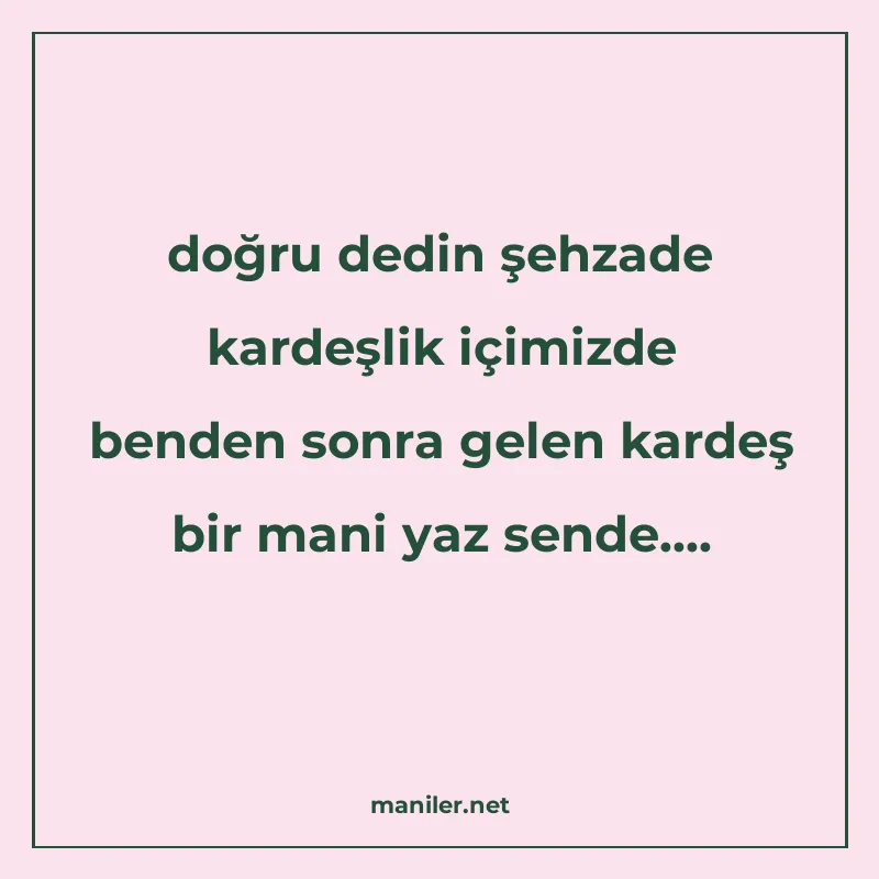 doğru dedin şehzade kardeşlik içimizde benden sonra gelen ka manisi görseli