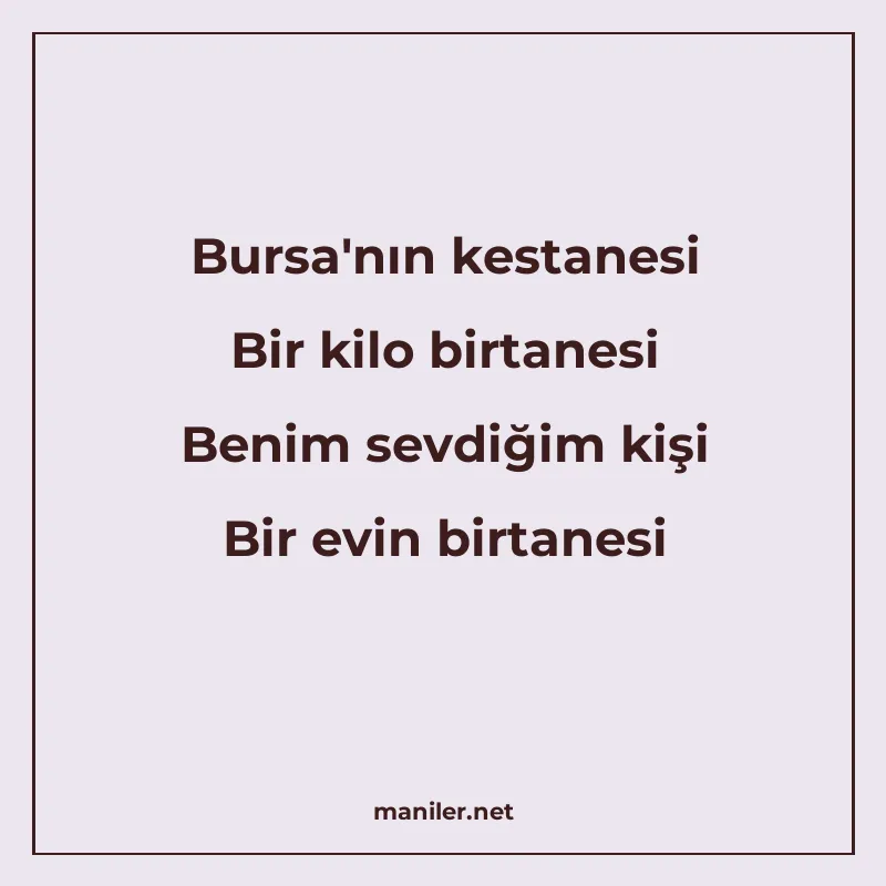 Bursa'nın kestanesi Bir kilo birtanesi Benim sevdiğim k manisi görseli