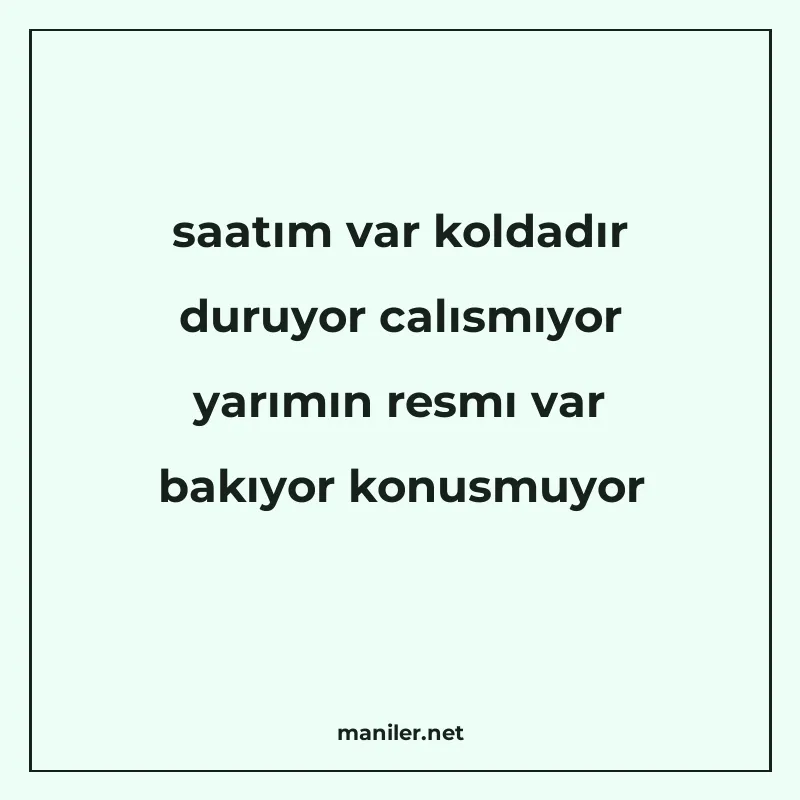 saatım var koldadır duruyor calısmıyor yarımın resmı var bak manisi görseli