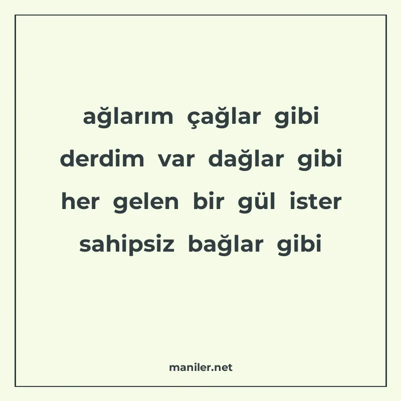 ağlarım çağlar gibi derdim var dağlar gibi her gelen bir gül manisi görseli
