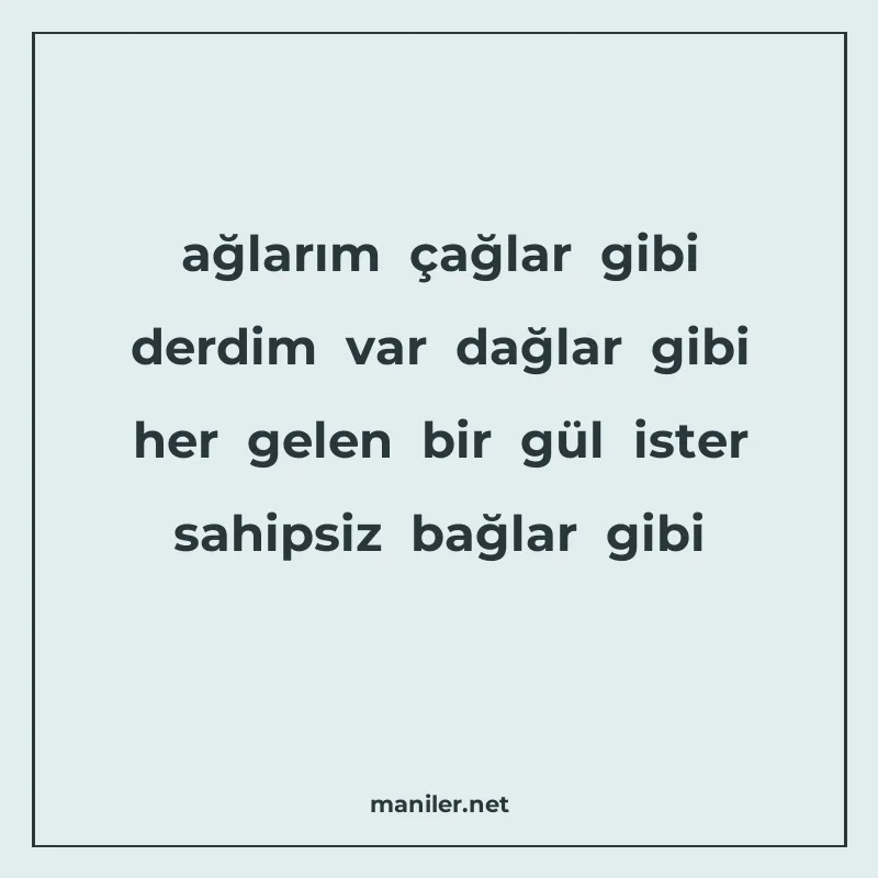 ağlarım çağlar gibi derdim var dağlar gibi her gelen bir gül manisi görseli