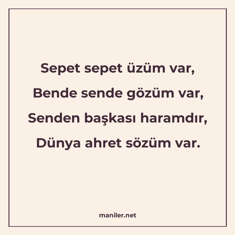 Sepet sepet üzüm var, Bende sende gözüm var, Senden başkası manisi görseli