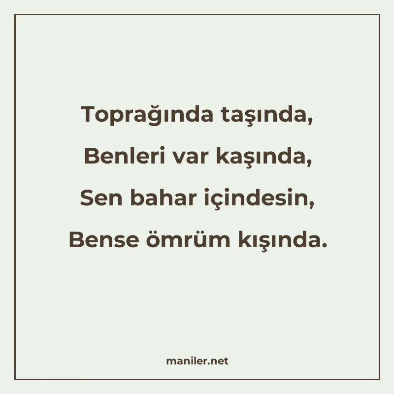 Toprağında taşında, Benleri var kaşında, Sen bahar içindesin manisi görseli