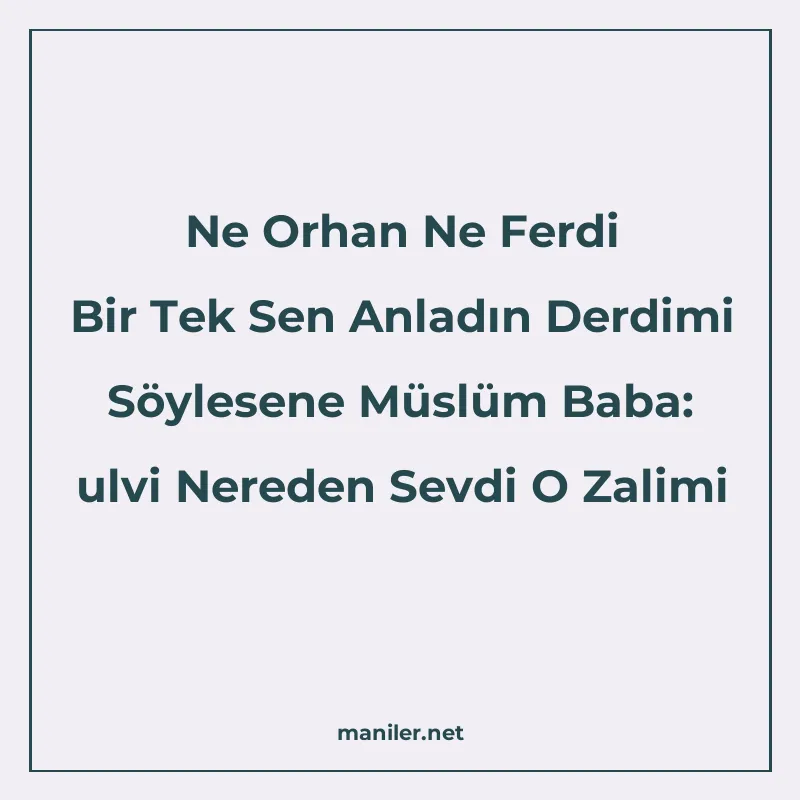 Ne Orhan Ne Ferdi Bir Tek Sen Anladın Derdimi Söylesene Müsl manisi görseli