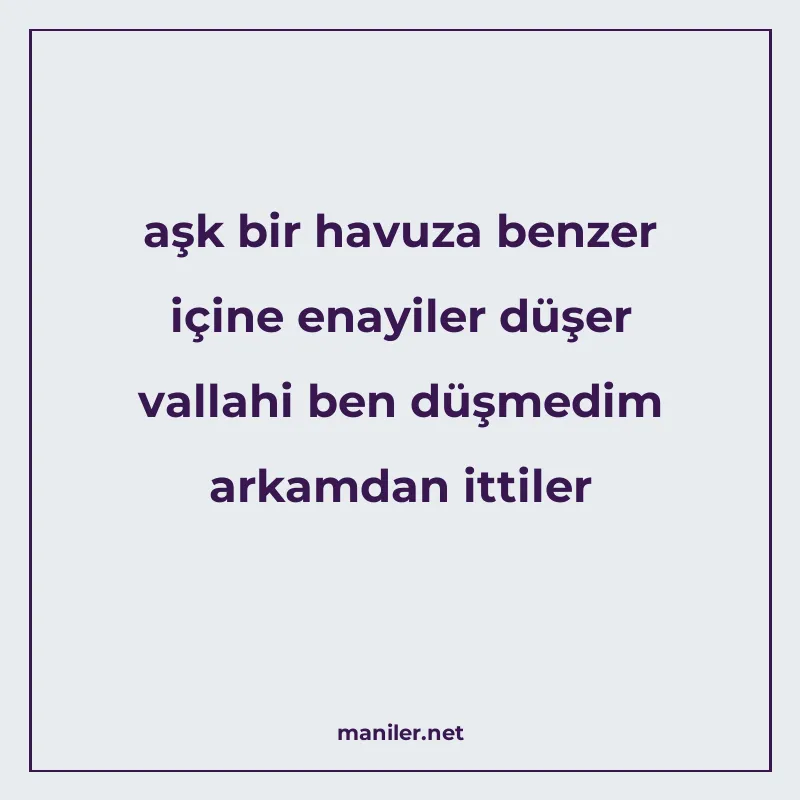 aşk bir havuza benzer içine enayiler düşer vallahi ben düşme