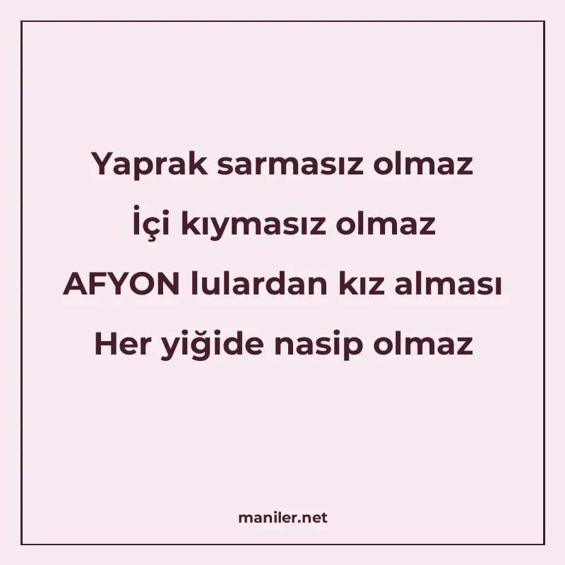 Yaprak sarmasız olmaz İçi kıymasız olmaz AFYON lulardan kız manisi görseli