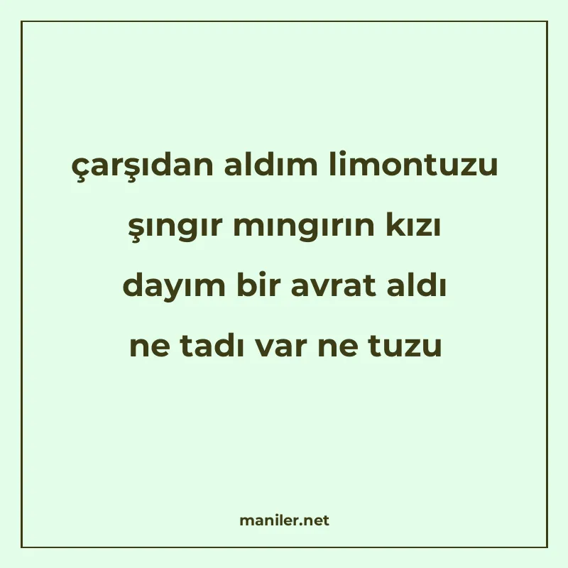 çarşıdan aldım limontuzu şıngır mıngırın kızı dayım bir avra manisi görseli
