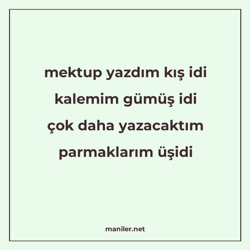 mektup yazdım kış idi kalemim gümüş idi çok daha yazacaktım manisi görseli
