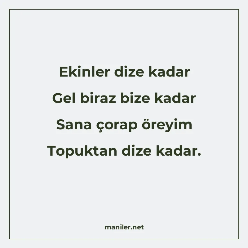 Ekinler dize kadar Gel biraz bize kadar Sana çorap öreyim To manisi görseli