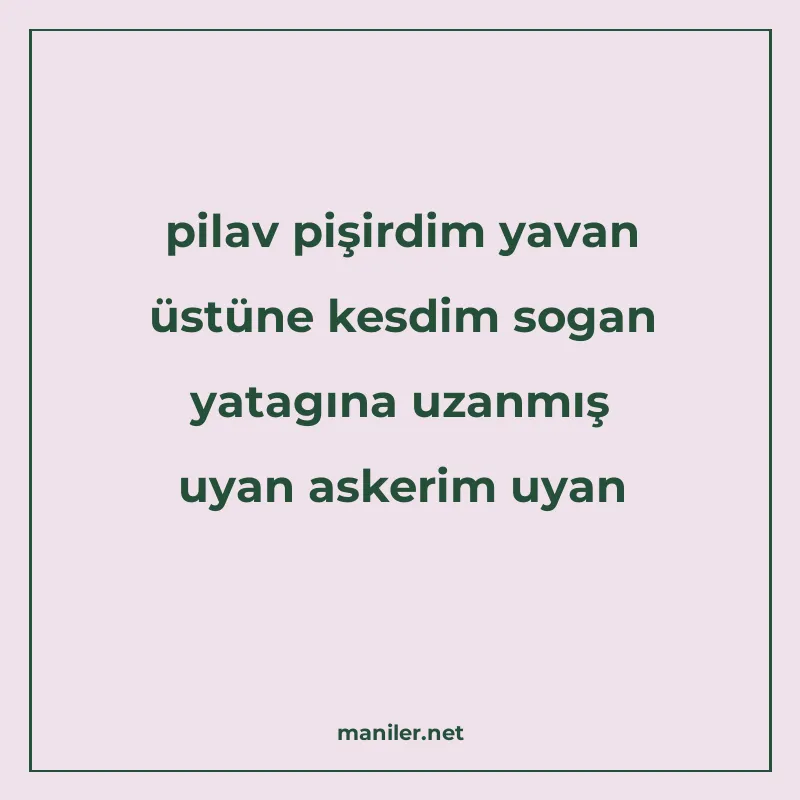 pilav pişirdim yavan üstüne kesdim sogan yatagına uzanmış uy manisi görseli